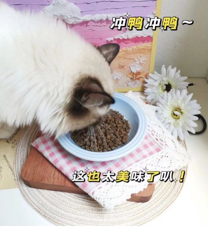 微信截图_20230728103105.png