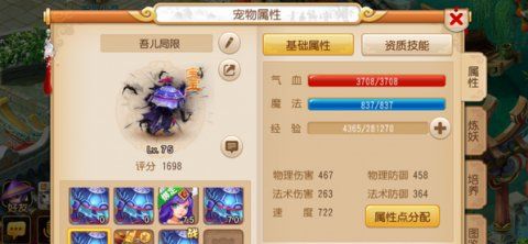 梦幻西游宠物纹饰评分，宠物选择是看评分还是看什么