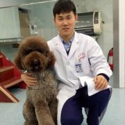 宠物医生李洋
