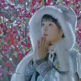 子木青城