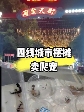 #爬宠 #豹纹守宫 #摆摊