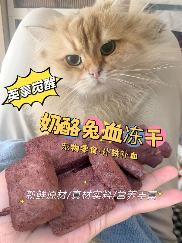 给毛孩子一口酥脆的营养！宠物补铁营养冻干，奶酪+兔血锁鲜技术制成，促进肠道吸收，无添加更健康！#宠物 #零食 #冻干 #猫狗狂欢季 #萌宠好物
