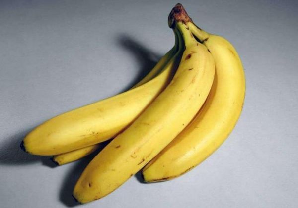 对狗狗健康有益又常见的7种食材，你给你家毛孩子吃过吗？