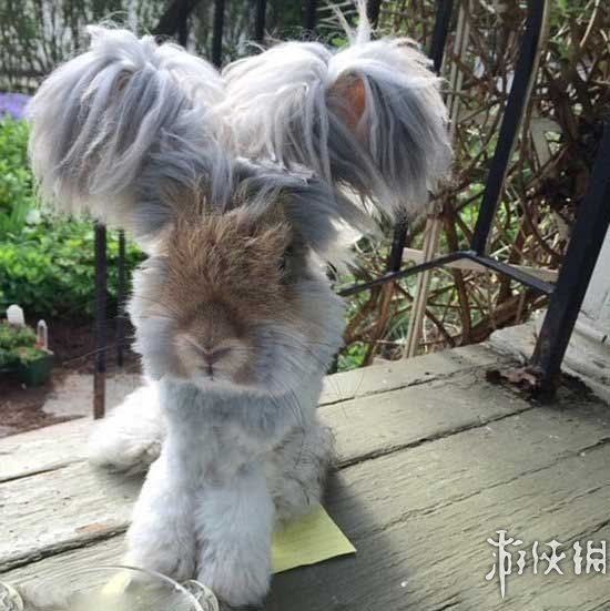 游侠网