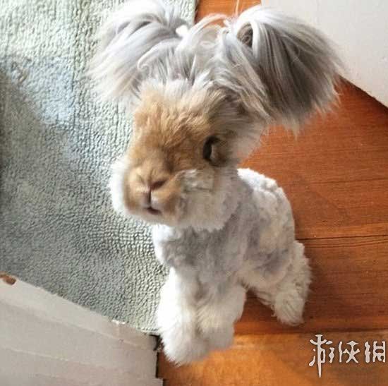 游侠网