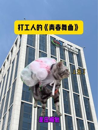 依宝宠物旗舰店:00后伊利依宝打工人献曲! 用一首打工人的《青春舞曲》,送给各位打工的你!#打工人的青春舞曲 #猫猫也要工作了 #依宝的日常