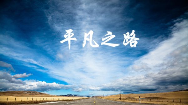 如何巧妙运用直播话术提升宠物零食销量？