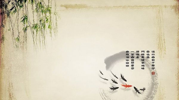 如何巧妙运用直播话术提升宠物零食销量？
