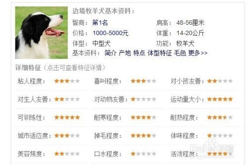 家养宠物狗排名