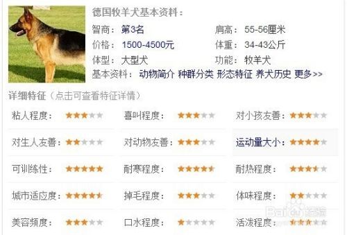 家养宠物狗排名