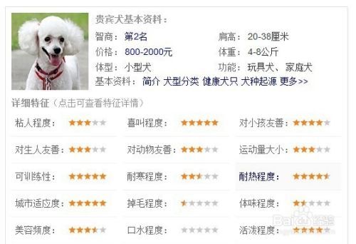 家养宠物狗排名