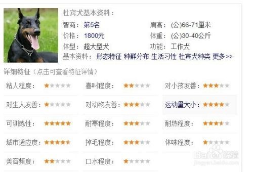 家养宠物狗排名