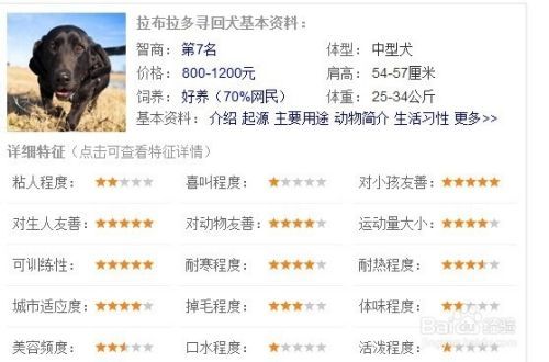 家养宠物狗排名