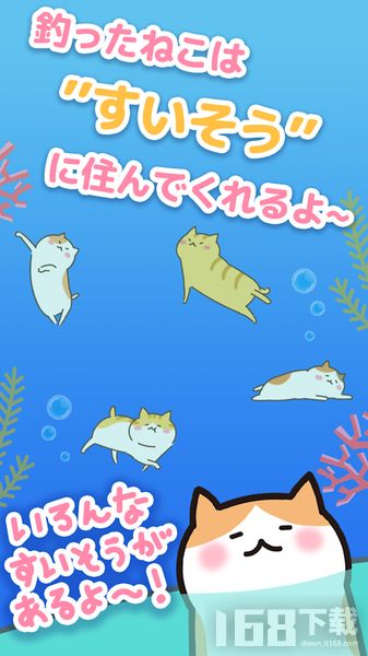 猫咪垂钓