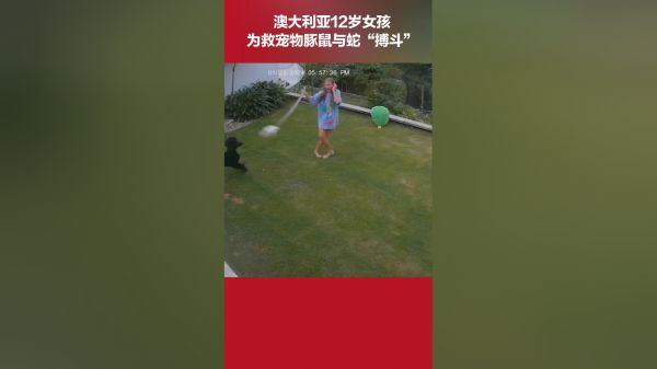 Thumbplayer Poster Plugin Image