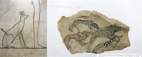 不看不知道,全民铲屎的萌萌哒古代埃及人!