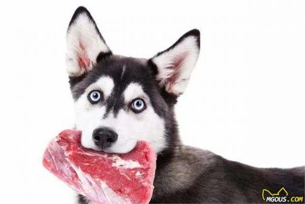狗狗们吃生食和熟食的区别，其实混搭是最好的了！