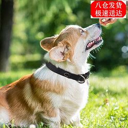 贝尼宠 狗项圈 宠物狗狗项圈 高端时尚耐拉狗项圈大型犬不含牵引绳 反光36-43cm黑色20-40斤内项圈