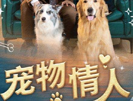 短剧《宠物情人》故事梗概&主演介绍