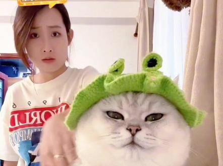 老芬是只假猫嘛?一动不动,太可爱了,一定看到最后#芬儿头是猫不是猪 #萌到爆炸了 #阔爱炸了