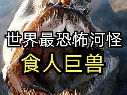 全世界最恐怖10大食人巨兽！第9名全人类捕杀，第一名人类最爱 全世界最恐怖的10大食人巨兽！第9名遭全人类捕杀，第一名是人类最爱，你可能吃过！#全世界最恐怖 #科普 #知识