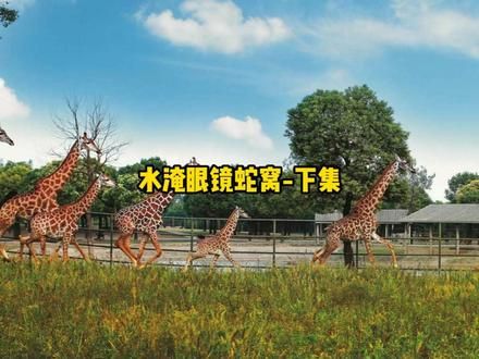 三哥利用捕蛇水终于是将蛇窝给铲除 捕蛇水铲除了蛇窝#动物世界 #蛇 #蛇类科普