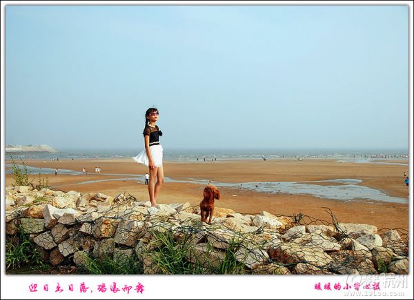带狗狗自驾青岛威海烟台游，各种快乐及心酸
