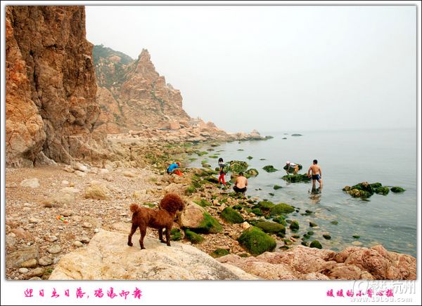 带狗狗自驾青岛威海烟台游，各种快乐及心酸