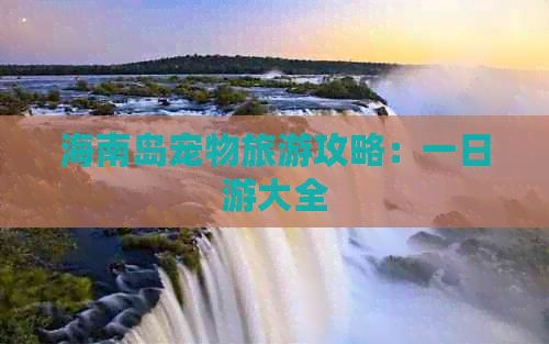 海南岛宠物旅游攻略：一日游大全