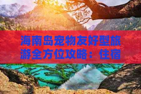 海南岛宠物友好型旅游全方位攻略：住宿、餐饮、景点一网打尽