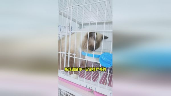 长期吃F15会不会导致营养不良？当然不会！耐心听完你就知道为什么了