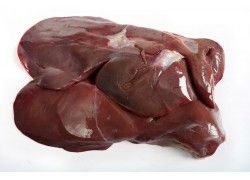 宠物猫咪有那些食物不能吃