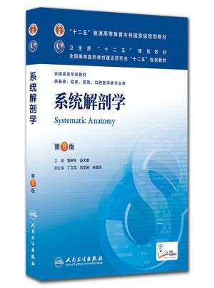 系统解剖学（第八版）