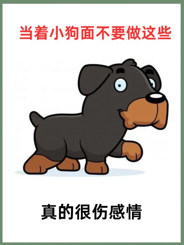 当着小狗面不要做这些→。#不养狗不知道养狗的乐趣 #狗狗 #萌宠日常记录 #小狗狗能有什么坏心思 #萌宠