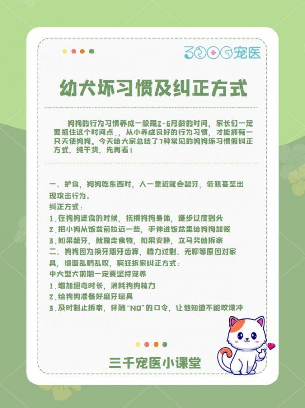 幼犬坏习惯及纠正方式 狗狗的行为习惯养成一般是2-6月龄的时间，家长们一定要抓住这个时间点.，从小养成良好的行为习惯，才能拥有一只天使狗狗。今天给大家总结了7种常见的狗狗坏习惯假纠正方式，纯干货！ ＃养狗指南＃幼犬坏习惯＃训狗＃宠物科普＃新手养狗