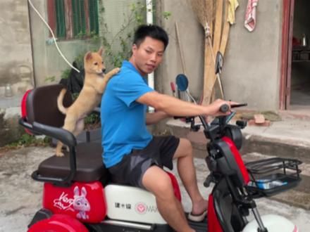 500元广西寄过来的小土狗真的和我们本地土狗不一样，来了20多天了，听懂重庆方言没啥问题，并且智商和颜值都在线。#中华田园犬 #本村最靓的狗