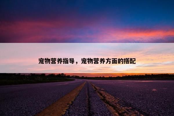 宠物营养指导，宠物营养方面的搭配