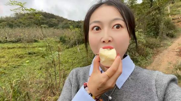 团团带闺蜜去摘苹果,可把俩小家伙吃美了