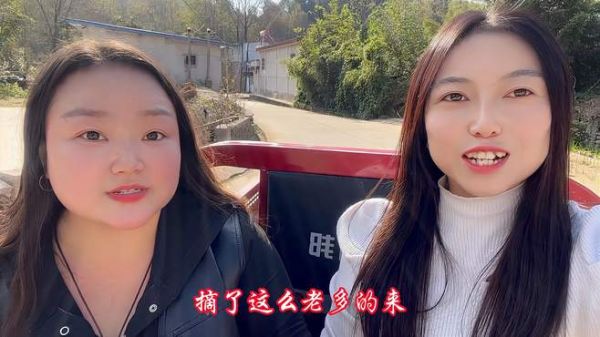回家偷菜,意外收获满满一车,团团和闺蜜边走边送人