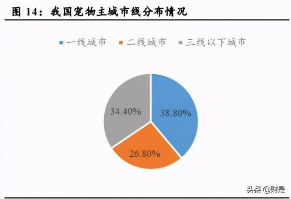 宠物食品行业研究：长期赛道优质，国产品牌加速崛起