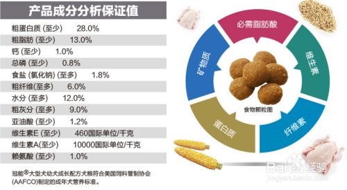 如何保护大型犬的骨骼