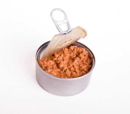 什么是猫最好的饮食？