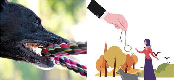 狗患猛于虎,该用严惩让不牵狗绳之人“捡”起这根失落已久的狗绳