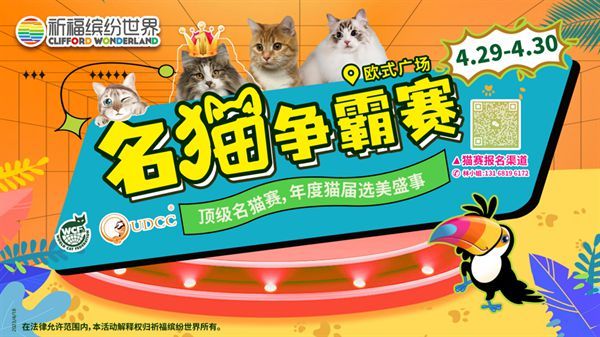 萌宠乐园揭秘，趣味十足的互动平台，汇聚活力多元宠物世界