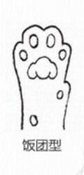 看猫咪的肉垫判断性格