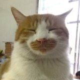 凛