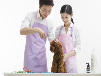 卫仕宠物用品加盟