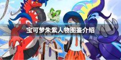 《宝可梦朱紫》人物图鉴介绍 角色图鉴大全