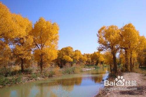 乌海旅游实用攻略分享