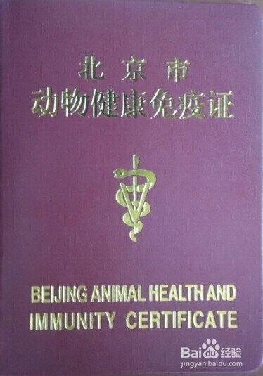 北京宠物出国 带宠物去法国
